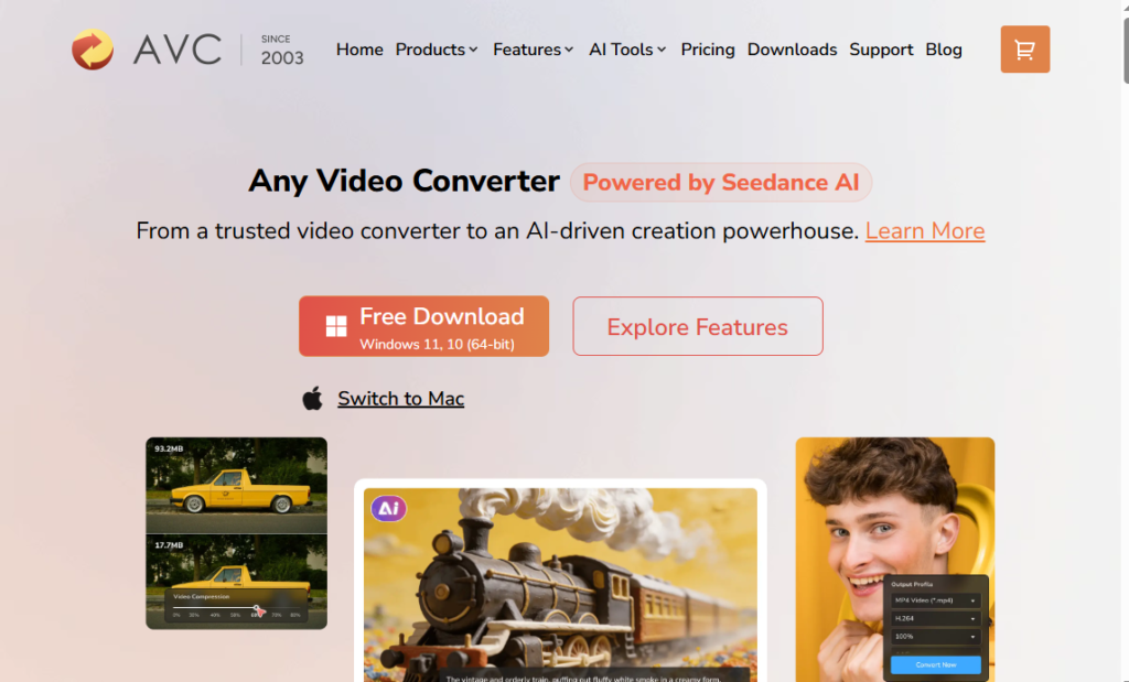 Any Video Converter