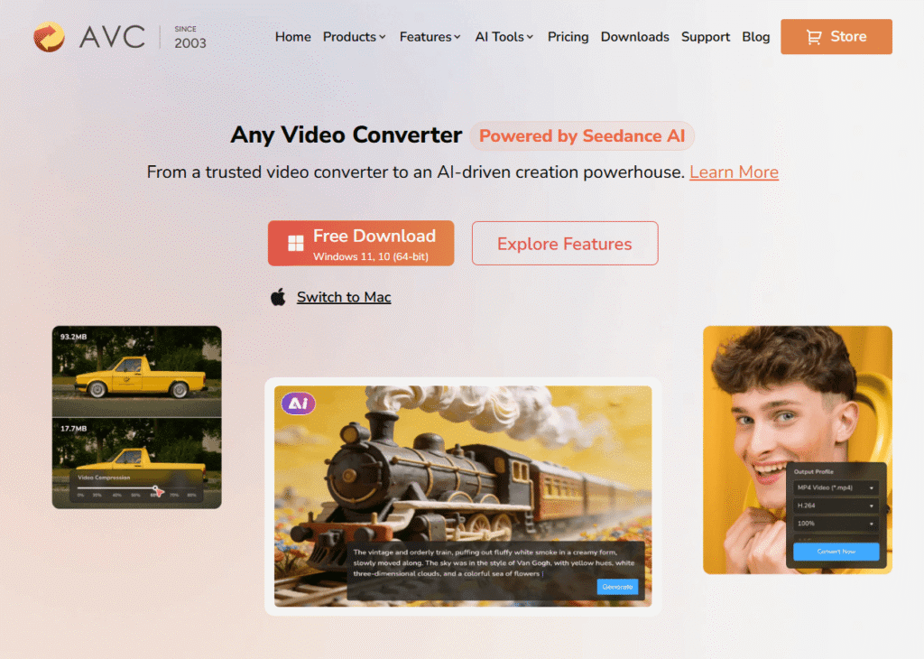 Any Video Converter